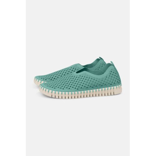 ILSE JACOBSEN Aqua Tulip